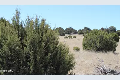 80 County Road 8620, Concho, AZ 85924 - Photo 8