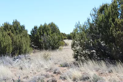 80 County Road 8620, Concho, AZ 85924 - Photo 12