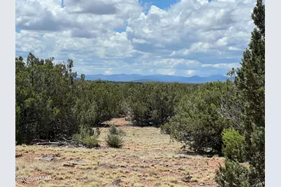 Tbd County Road 8309, Concho, AZ 85924 - Photo 1