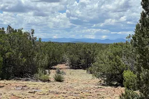 Tbd County Road 8309, Concho, AZ 85924 - Photo 1