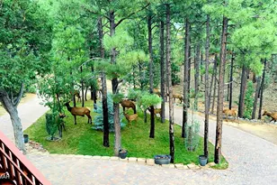 2020 S Pleasantview, Show Low, AZ 85901 - Photo 52