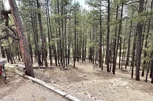 29 &amp 27 N 2058, Alpine, AZ 85920 - Photo 26