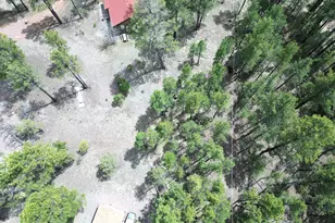 29 &amp 27 N 2058, Alpine, AZ 85920 - Photo 34