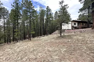 29 &amp 27 N 2058, Alpine, AZ 85920 - Photo 28