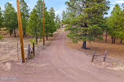 Tbd County Road N2144, Alpine, AZ 85920 - Photo 2