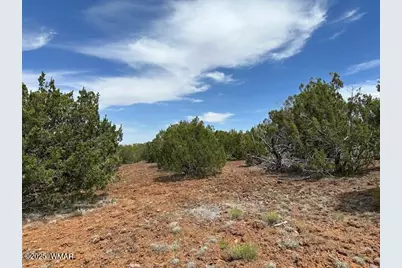 40 County Road 3048, Concho, AZ 85924 - Photo 2