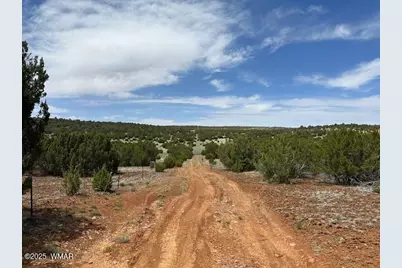 44 County Road 3048, Concho, AZ 85924 - Photo 12
