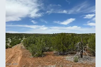 44 County Road 3048, Concho, AZ 85924 - Photo 8