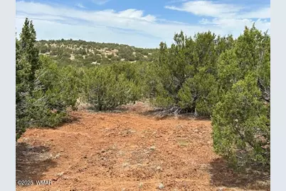 44 County Road 3048, Concho, AZ 85924 - Photo 4