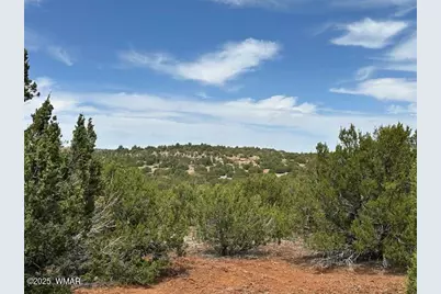 44 County Road 3048, Concho, AZ 85924 - Photo 2