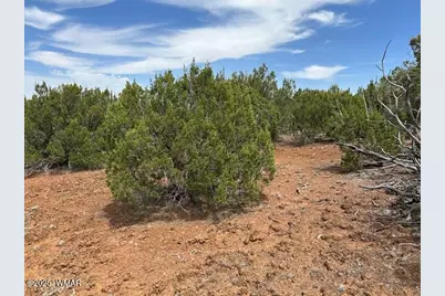 44 County Road 3048, Concho, AZ 85924 - Photo 6
