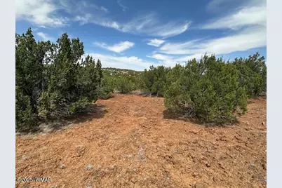 46 County Road 3048, Concho, AZ 85924 - Photo 6