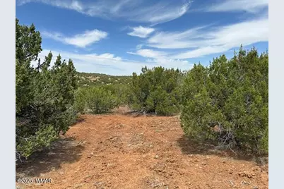 46 County Road 3048, Concho, AZ 85924 - Photo 8