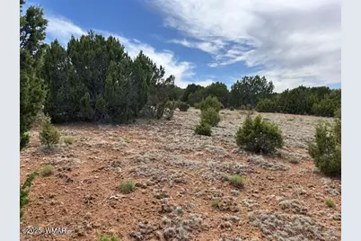 50 County Road 3048, Concho, AZ 85924 - Photo 12