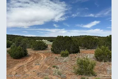 50 County Road 3048, Concho, AZ 85924 - Photo 10