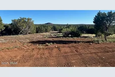 8766 Clark Road, Show Low, AZ 85901 - Photo 2