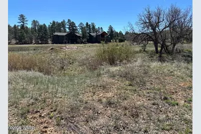 1301 Lakeside Trail, Show Low, AZ 85901 - Photo 4