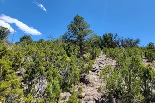 Tbd Sunset Dr, Eagar, AZ 85925 - Photo 1