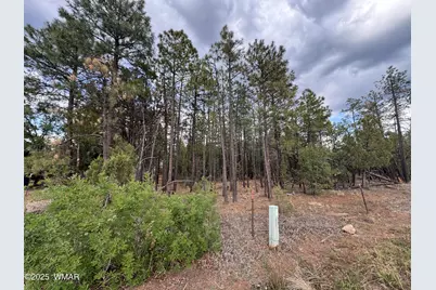 Tbd White Mtn Blvd 212-09-108Q, Lakeside, AZ 85929 - Photo 1