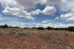 5233 Concho Ocho Rd, Snowflake, AZ 85937 - Photo 14