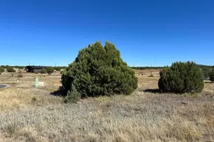 1181 S Ridgeway Pl #1B, Show Low, AZ 85901 - Photo 1