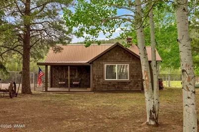 137 1120, Greer, AZ 85927 - Photo 4