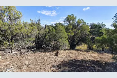 1849 Rocky Bottom Place, Show Low, AZ 85901 - Photo 6