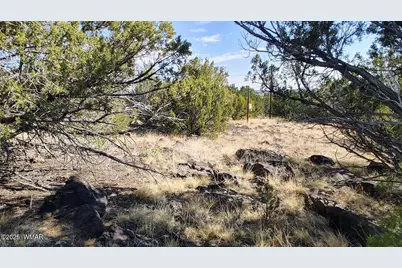 1799 Scott Place, Show Low, AZ 85901 - Photo 2