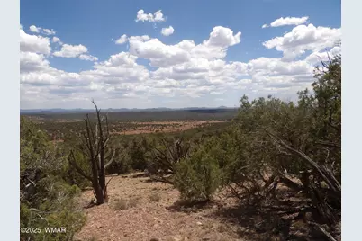 0 Bella Vista, Show Low, AZ 85901 - Photo 1