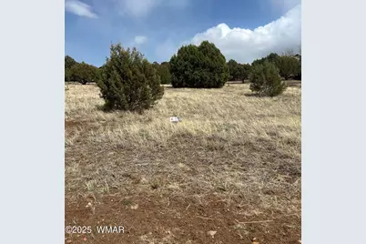 620 S Rock Ridge Drive, Unit 1A Lot 74 #1A Lot 74, Show Low, AZ 85901 - Photo 4