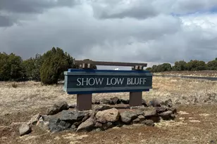 520 S Rockcreek Dr #1A, Show Low, AZ 85901 - Photo 1