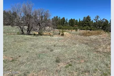 1301 Lakeside Trail, Unit Tl2 Lot 33 #TL2 Lot 33, Show Low, AZ 85901 - Photo 4