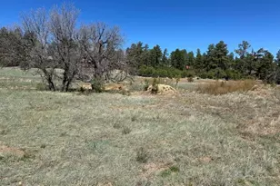 1301 Lakeside Trail Unit Tl2 Lot 33, Show Low, AZ 85901 - Photo 4