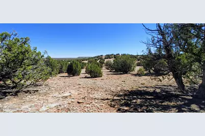 9182 Texas Lane, Show Low, AZ 85901 - Photo 8