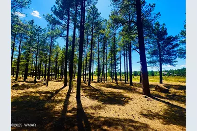 9578 Sierra Springs Drive, Pinetop, AZ 85935 - Photo 1