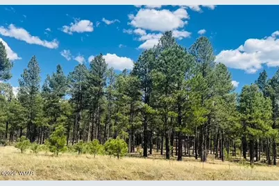 9578 Sierra Springs Drive, Pinetop, AZ 85935 - Photo 4