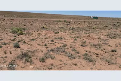 8663 Quartzsite Street, Sun Valley, AZ 86029 - Photo 4