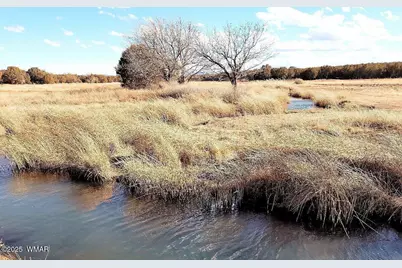 Tbd Lot 14 A Bonito Dr, Show Low, AZ 85901 - Photo 8