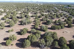 Tbd Lot 14 A Bonito Dr, Show Low, AZ 85901 - Photo 1