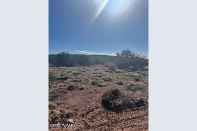 36 County Road N8487, Concho, AZ 85924 - Photo 8