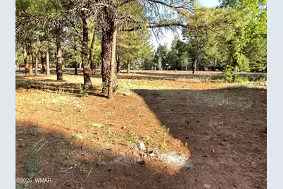 5151 Saddle Strap Way, Pinetop, AZ 85935 - Photo 4