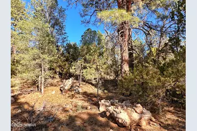 3377 Mogollon Drive, Overgaard, AZ 85933 - Photo 1