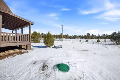 2763 Sunflower Drive, Overgaard, AZ 85933 - Photo 26