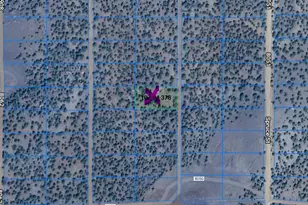 Tbd Cr 8115, Concho, AZ 85924 - Photo 1