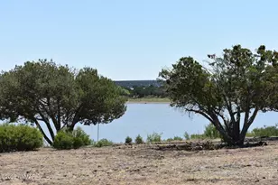 1949 Norton Pl, Show Low, AZ 85901 - Photo 22