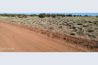 Lot 35 6718, Saint Johns, AZ 85936 - Photo 12