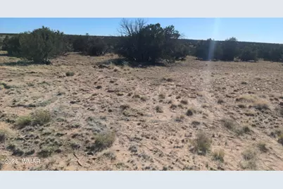 Lot 35 6718, Saint Johns, AZ 85936 - Photo 4