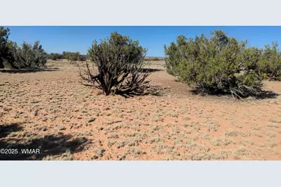 Lot 35 6718, Saint Johns, AZ 85936 - Photo 2