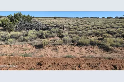 Lot 35 6718, Saint Johns, AZ 85936 - Photo 10