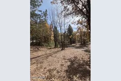 5480 Apache Trail, Pinetop, AZ 85935 - Photo 4